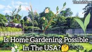 Is Home Gardening Possible in the USA?