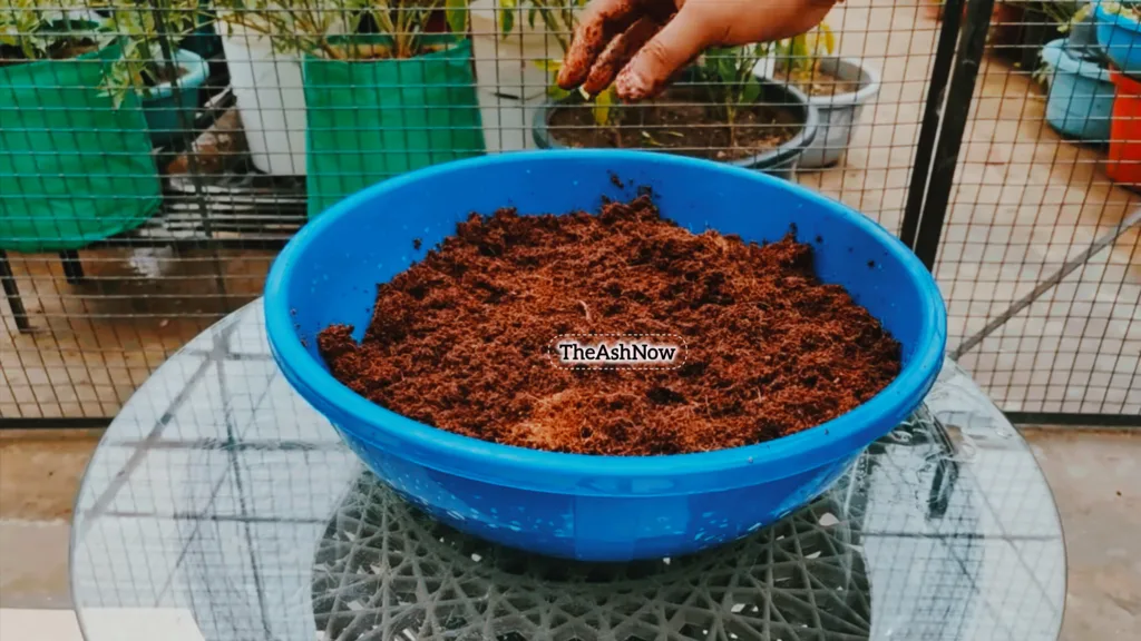 How to Create a Compost Bin A Step-by-Step Guide