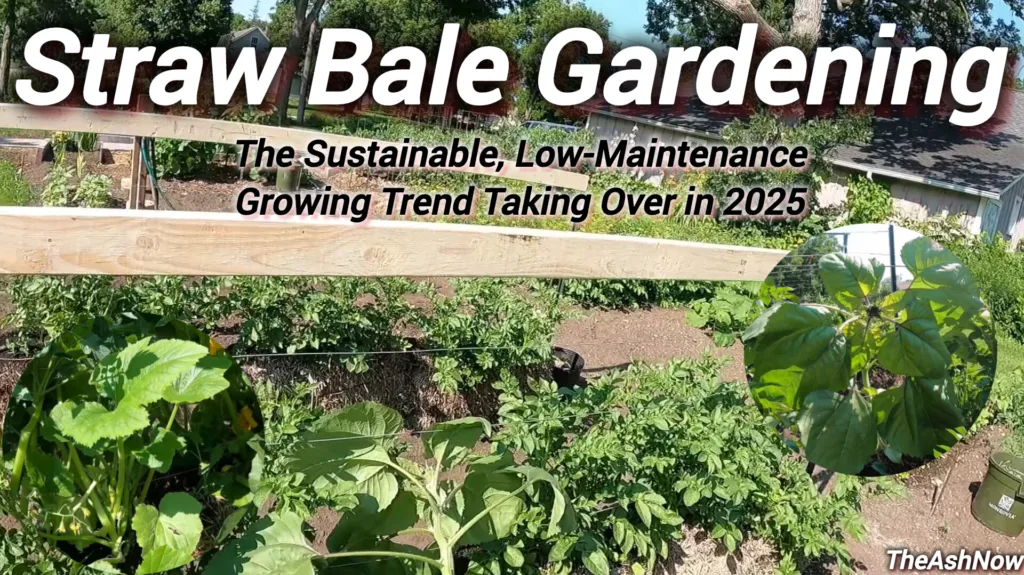 Straw Bale Gardening The Sustainable, Low-Maintenance Growing Trend Taking Over in 2025