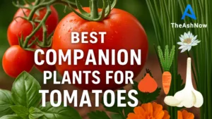 Best Companion Plants for Tomatoes Boost Growth & Beat Pests Naturally