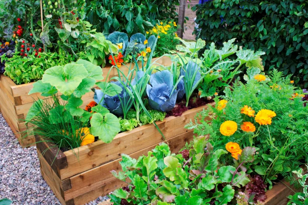 Best Flower-Vegetable Combos for a Colorful Garden