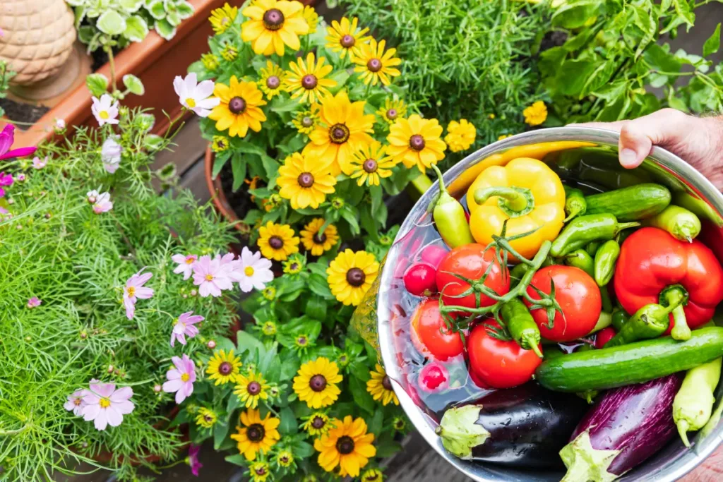 Easiest Vegetables to Grow for Beginners (USA Climate Zones), Home Gardening, Best Plants, gardening in Florida