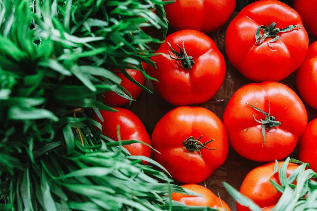 Best Companion Plants for Tomatoes: Boost Growth & Beat Pests Naturally, Carrot, Garlic, TheAshNow