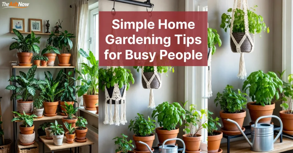 Indoor home garden with potted plants and hanging planters near a window, showing simple home gardening tips for busy people.