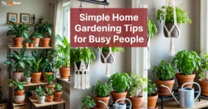 Indoor home garden with potted plants and hanging planters near a window, showing simple home gardening tips for busy people.