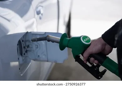 E20 Ethanol Controversy, E20 petrol, E20 fuel, E20 petrol news, what is E20 fuel